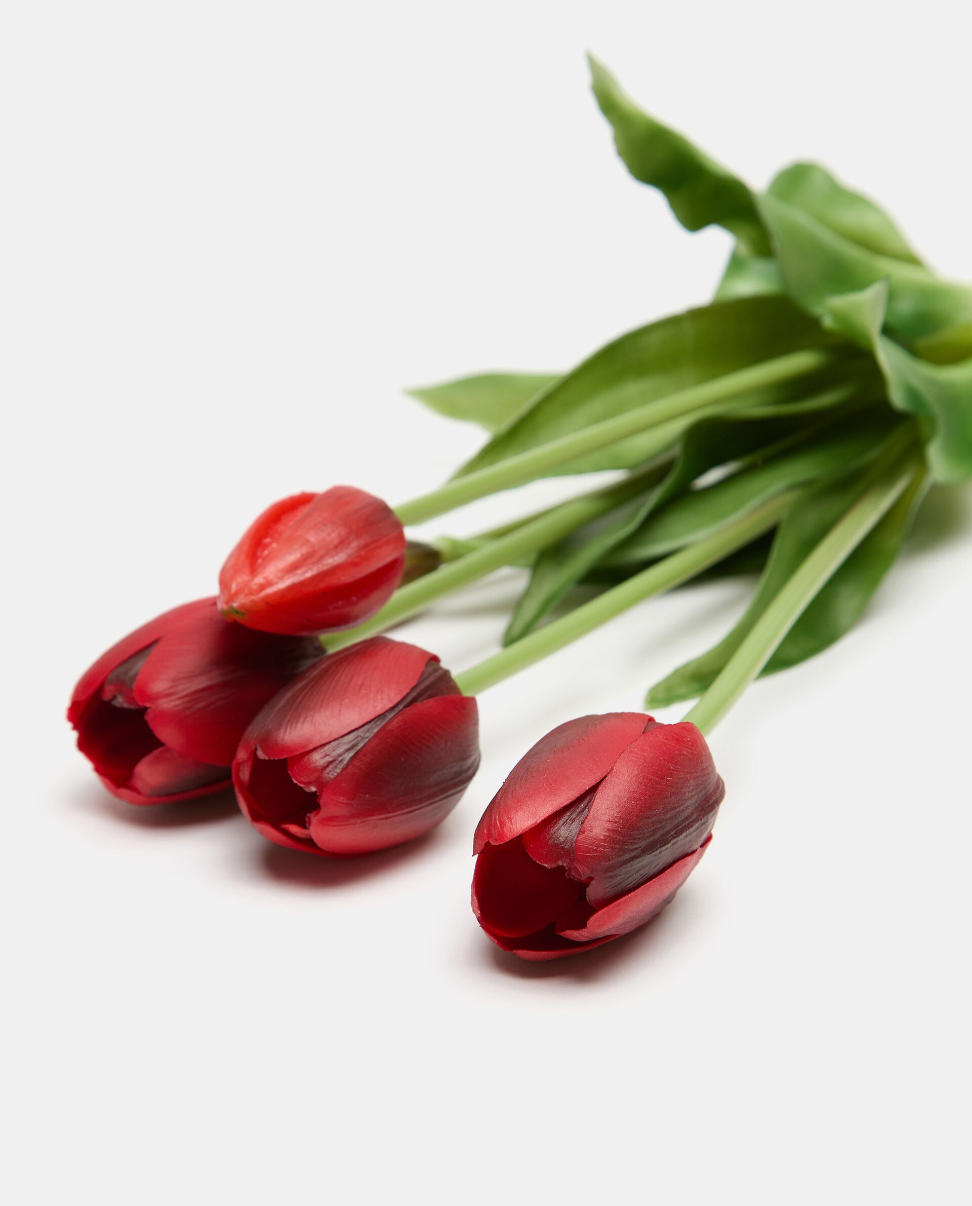 Tulipani rossi in plastica