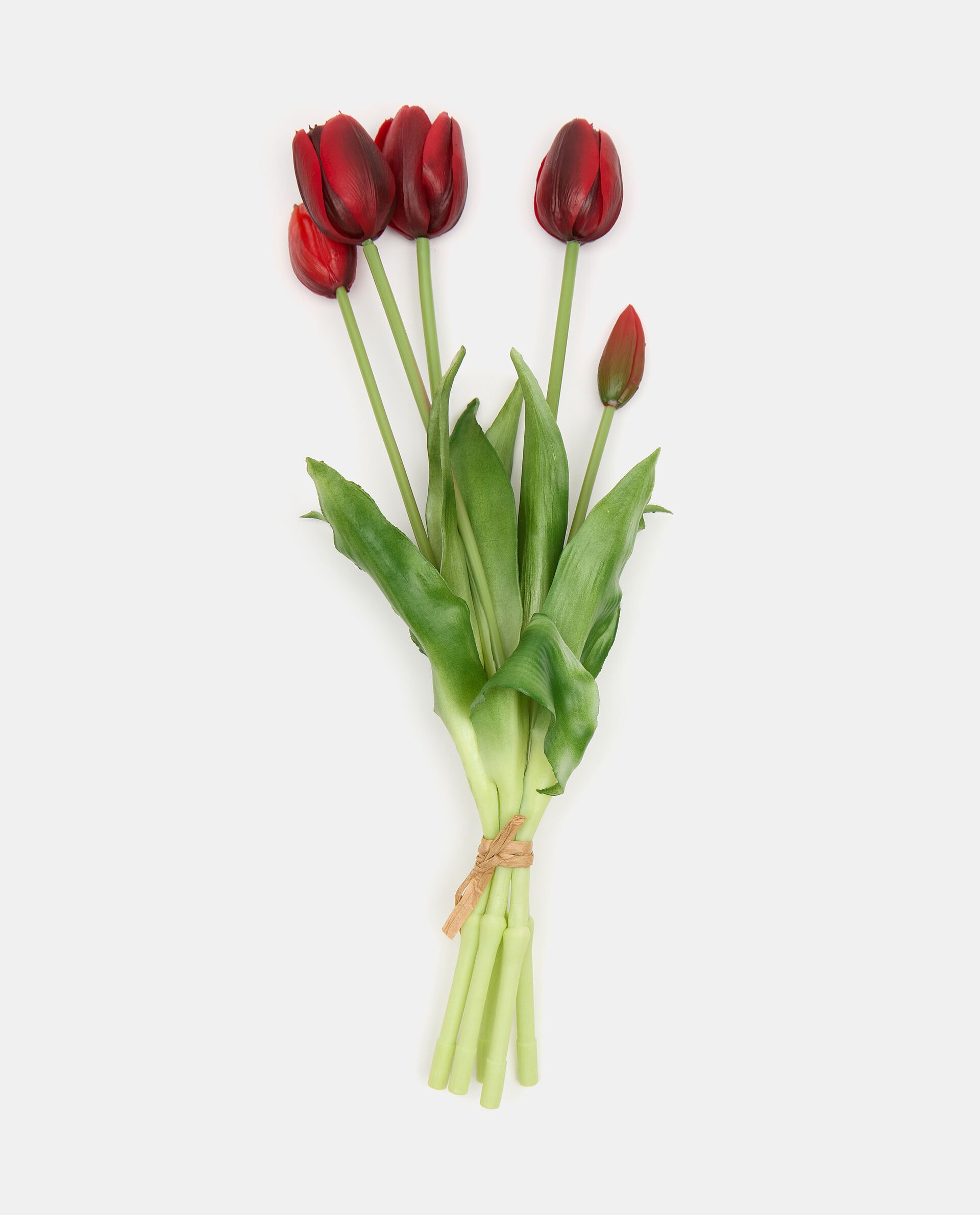 Tulipani rossi in plastica