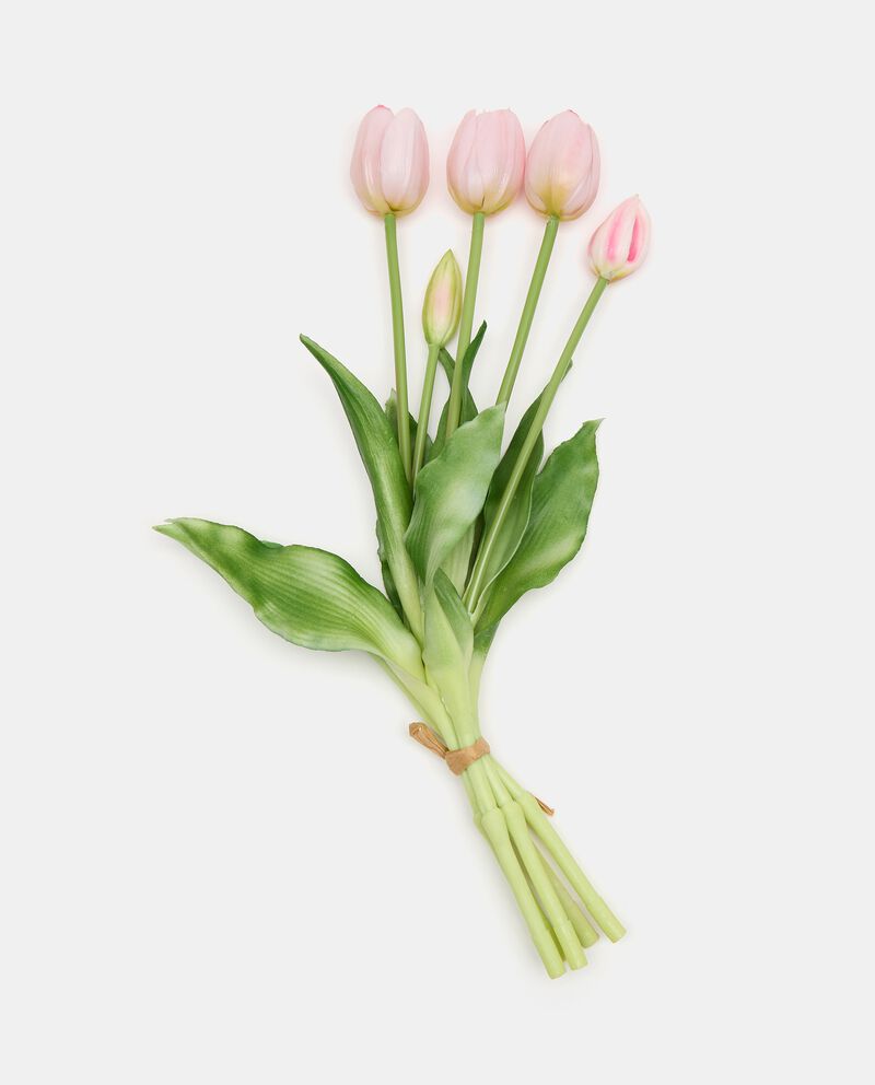 Tulipani rosa in plasticadouble bordered 0 