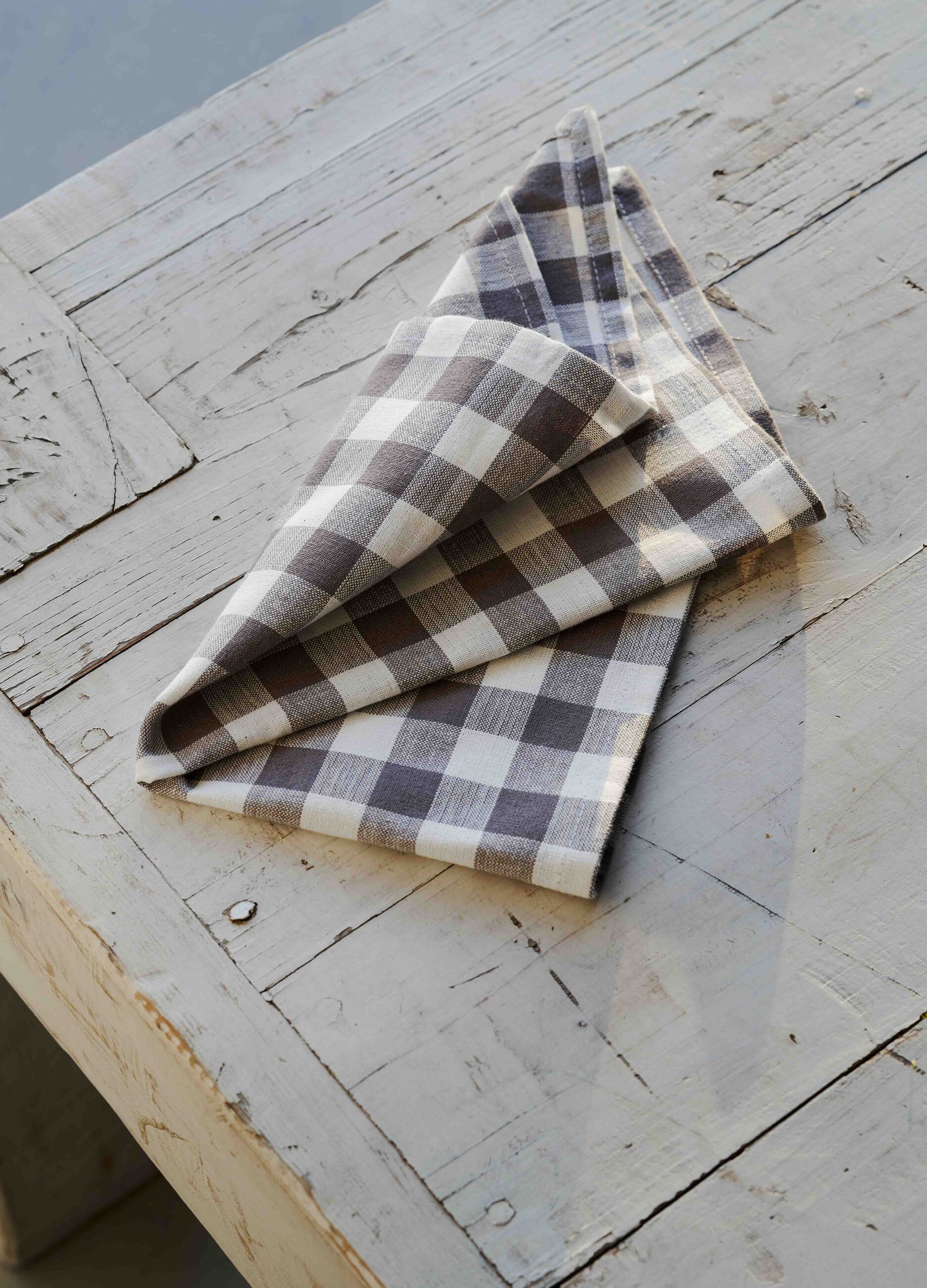 2-pack napkins in check cotton