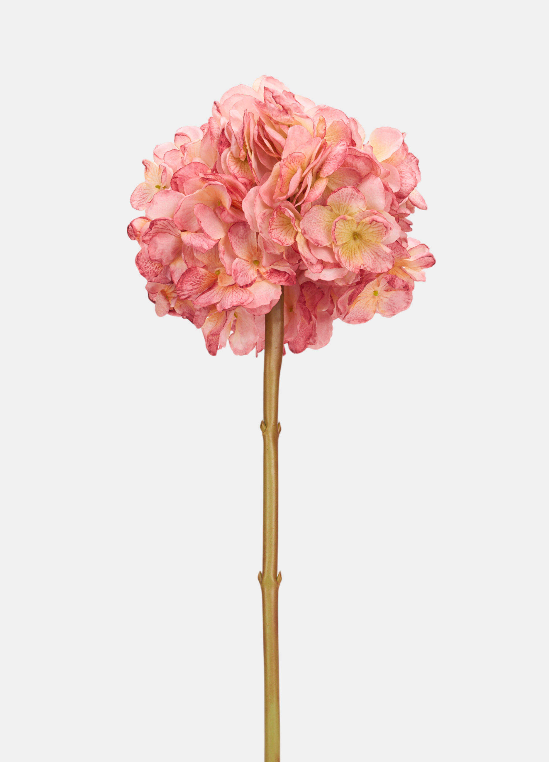 Faux hydrangea on a stem_0