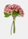 Bouquet of false hydrangeas_0