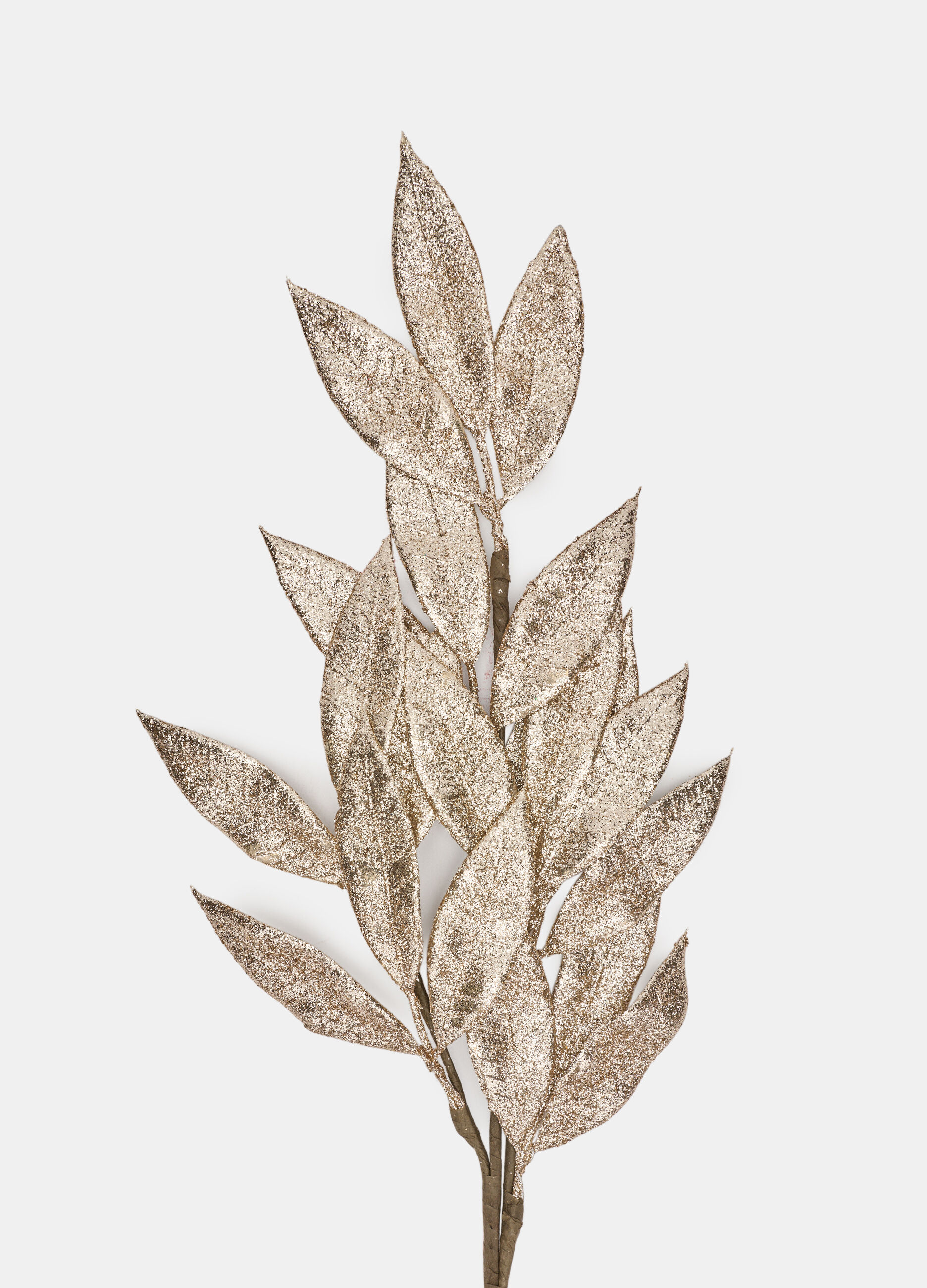 Ramo argentato con foglie grandi_1