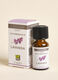 Lavender essential oil_2