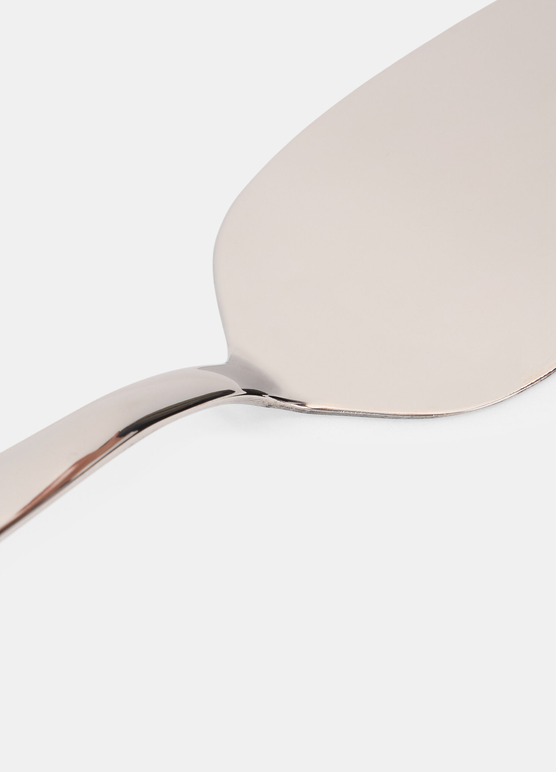 Paletta per torta in acciaio_1