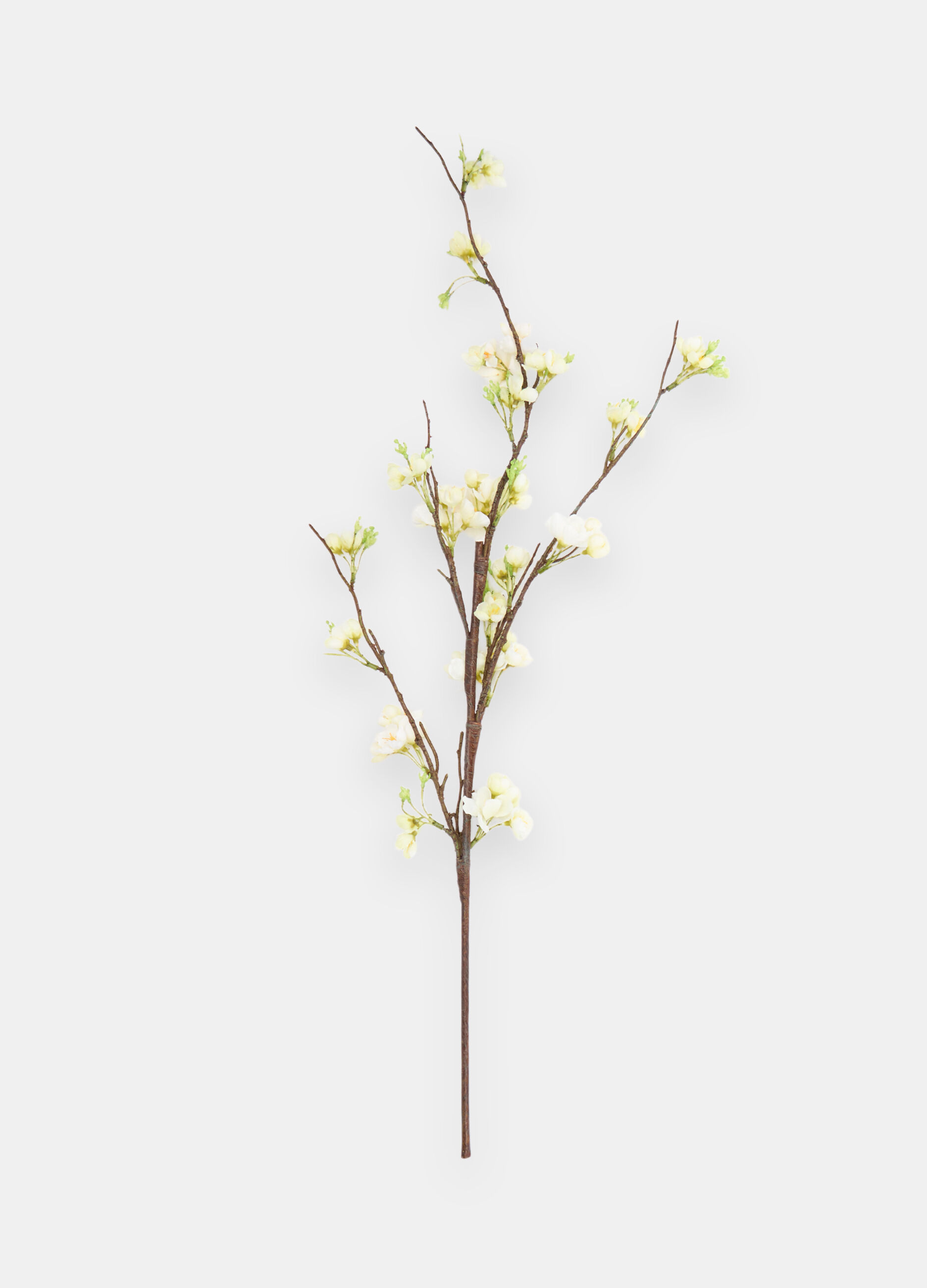False peach branch_0