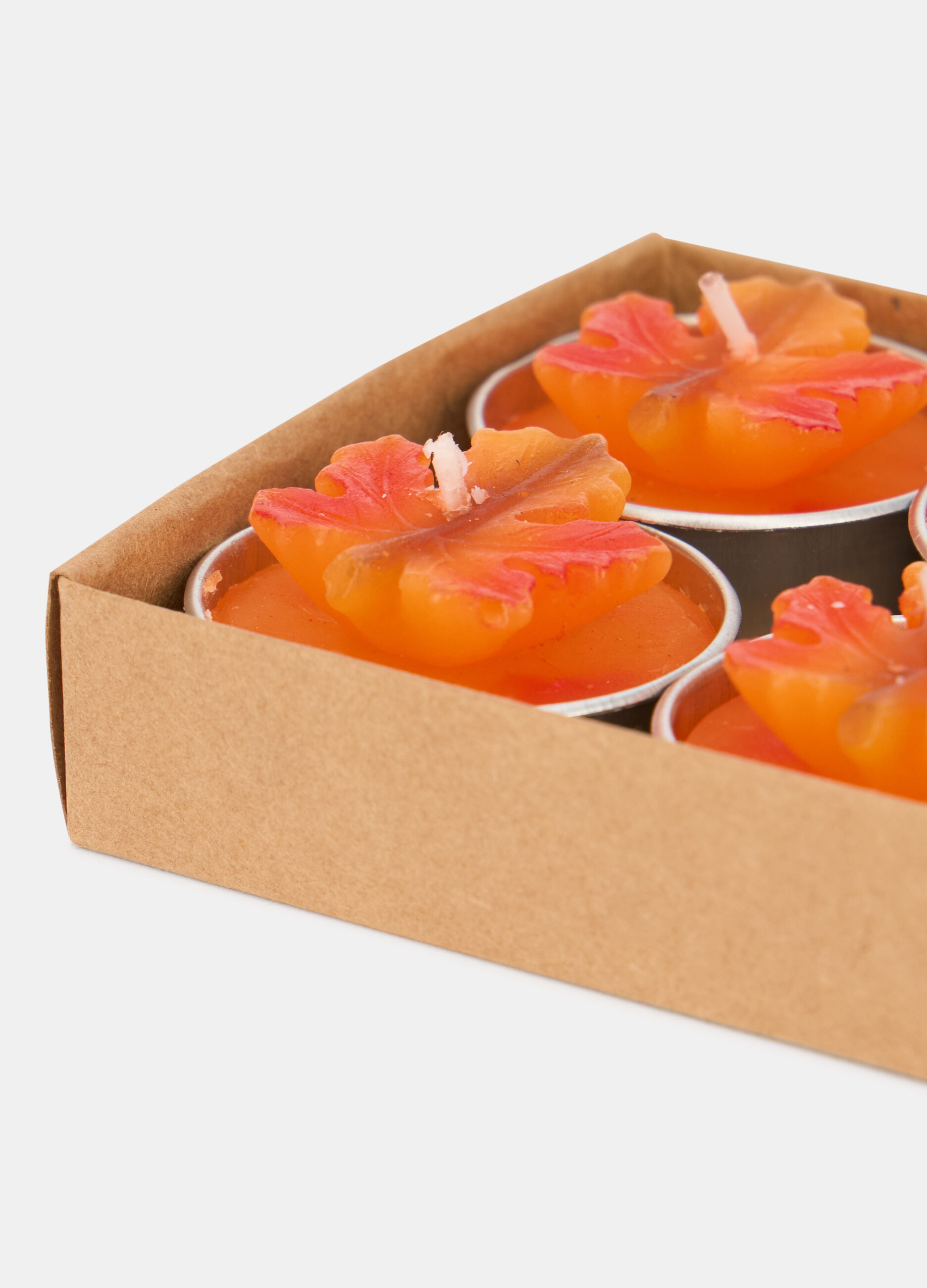 6 pack candeline foglia d'acero_1
