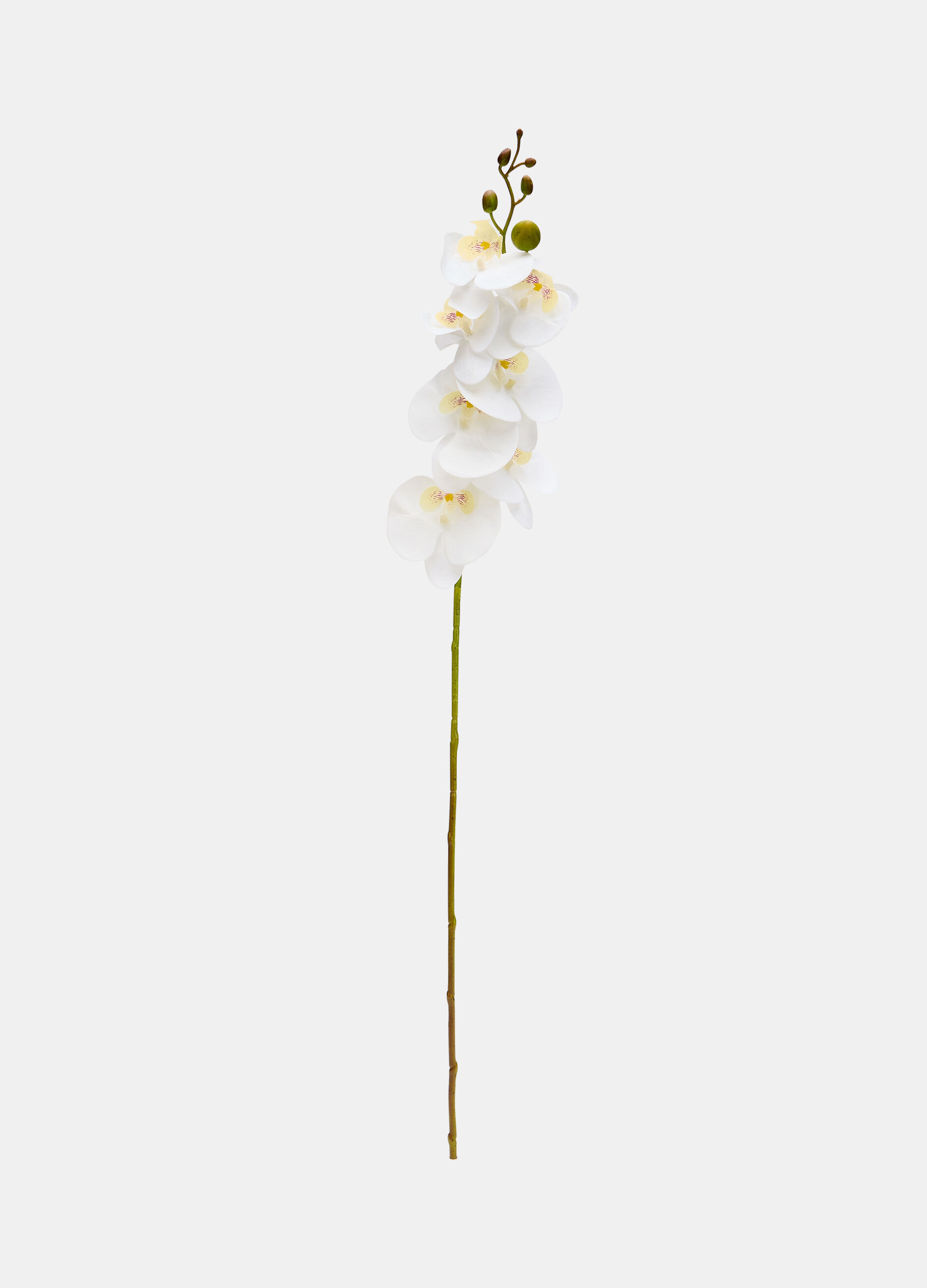 Faux orchid on a stem_0