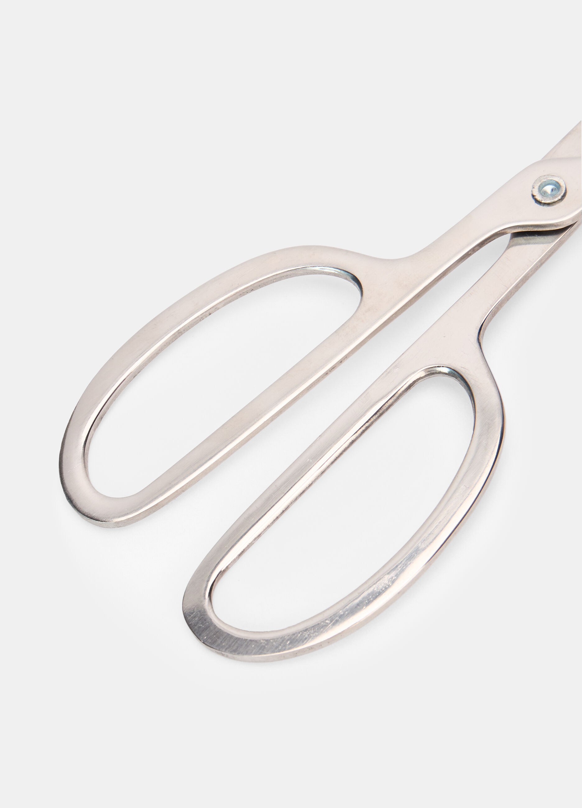 Pinza con manici in acciaio_1