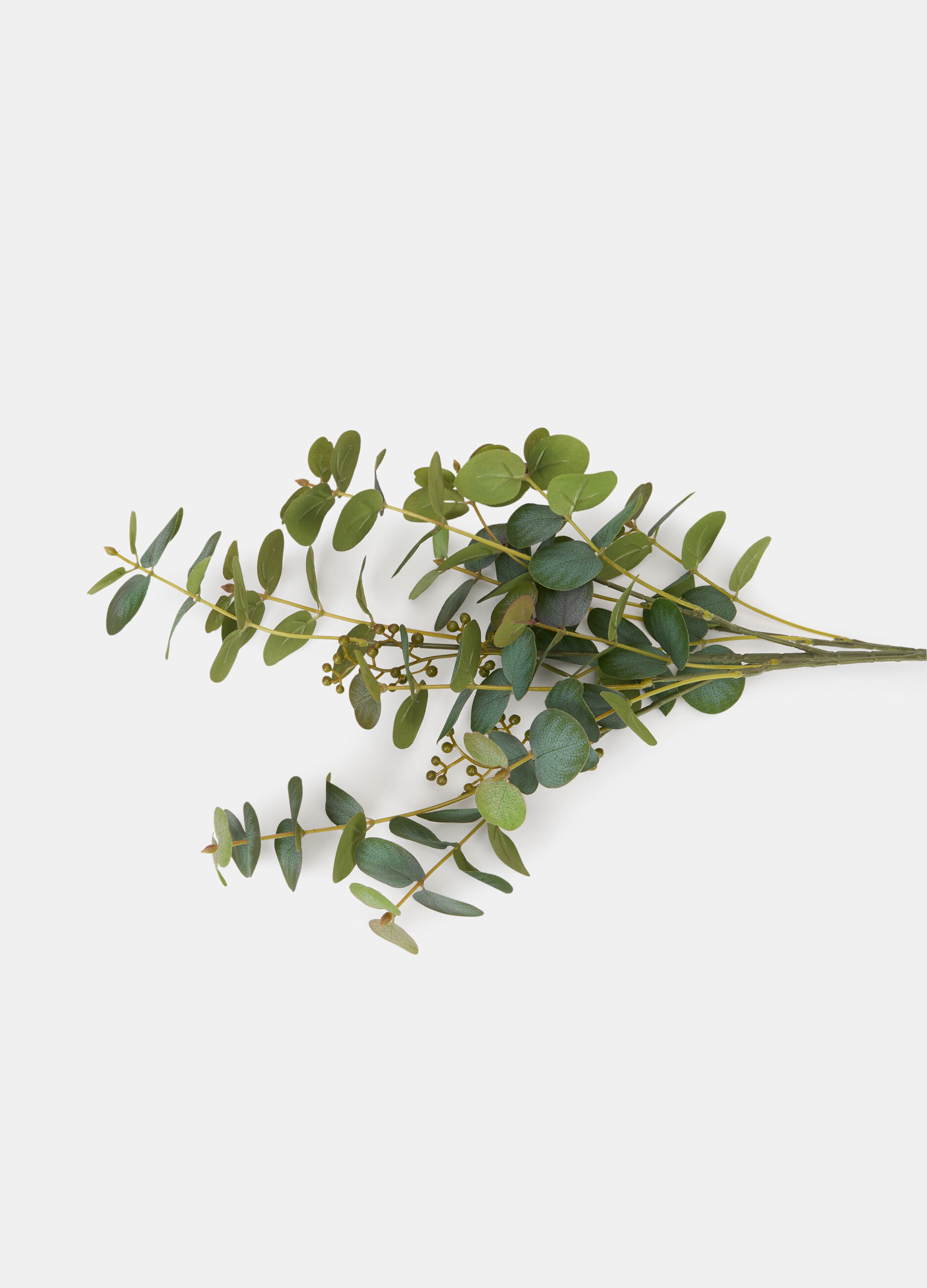 Mazzetto decorativo di eucalipto_1