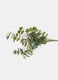 Mazzetto decorativo di eucalipto_1