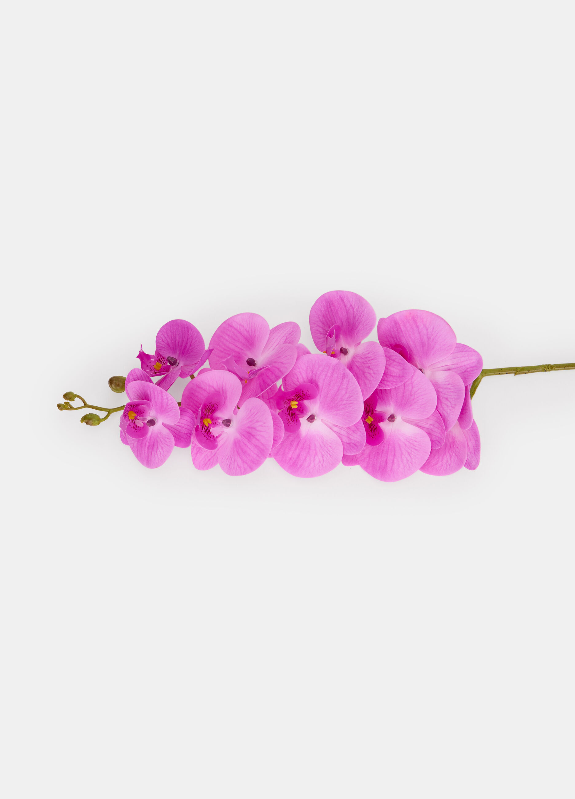 Orchidea finta con stelo lungo_1