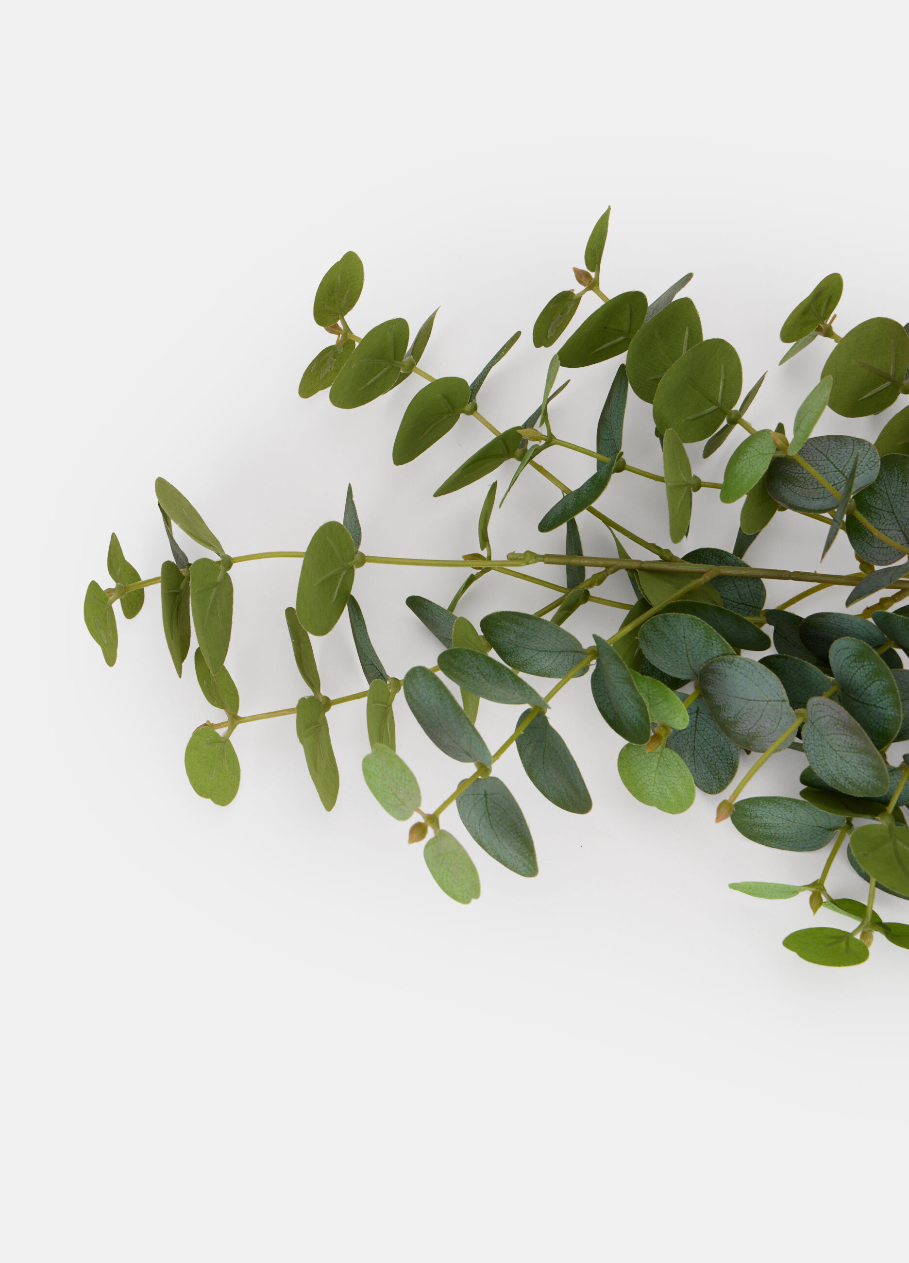 Rametto finto di eucalipto_1