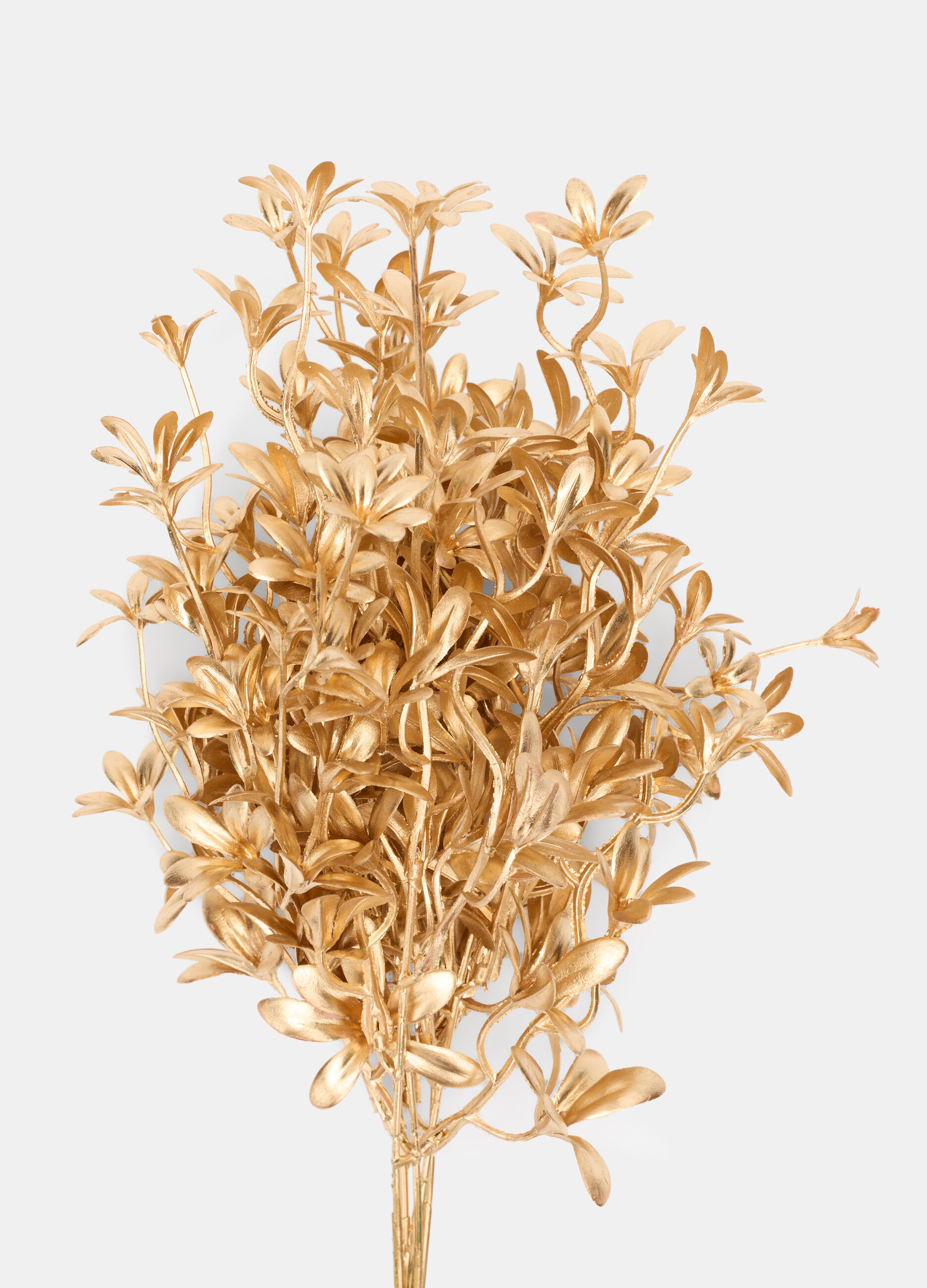 Ramo dorato con foglie_1