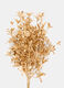 Ramo dorato con foglie_1