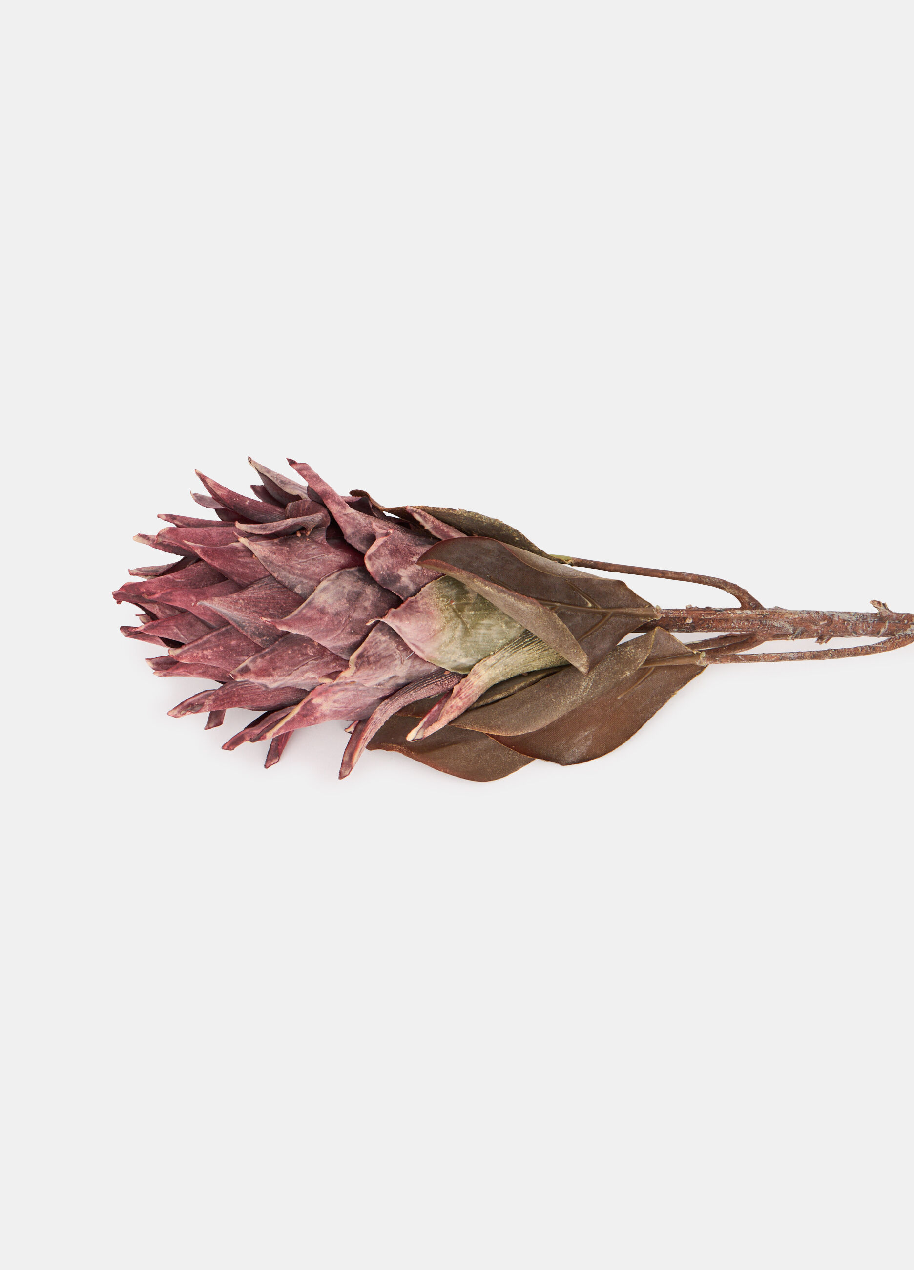 Fiore di protea finto_1