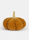 Zucca decorativa media con dettaglio oro_0
