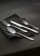 16-Piece cutlery set in polished steel_0