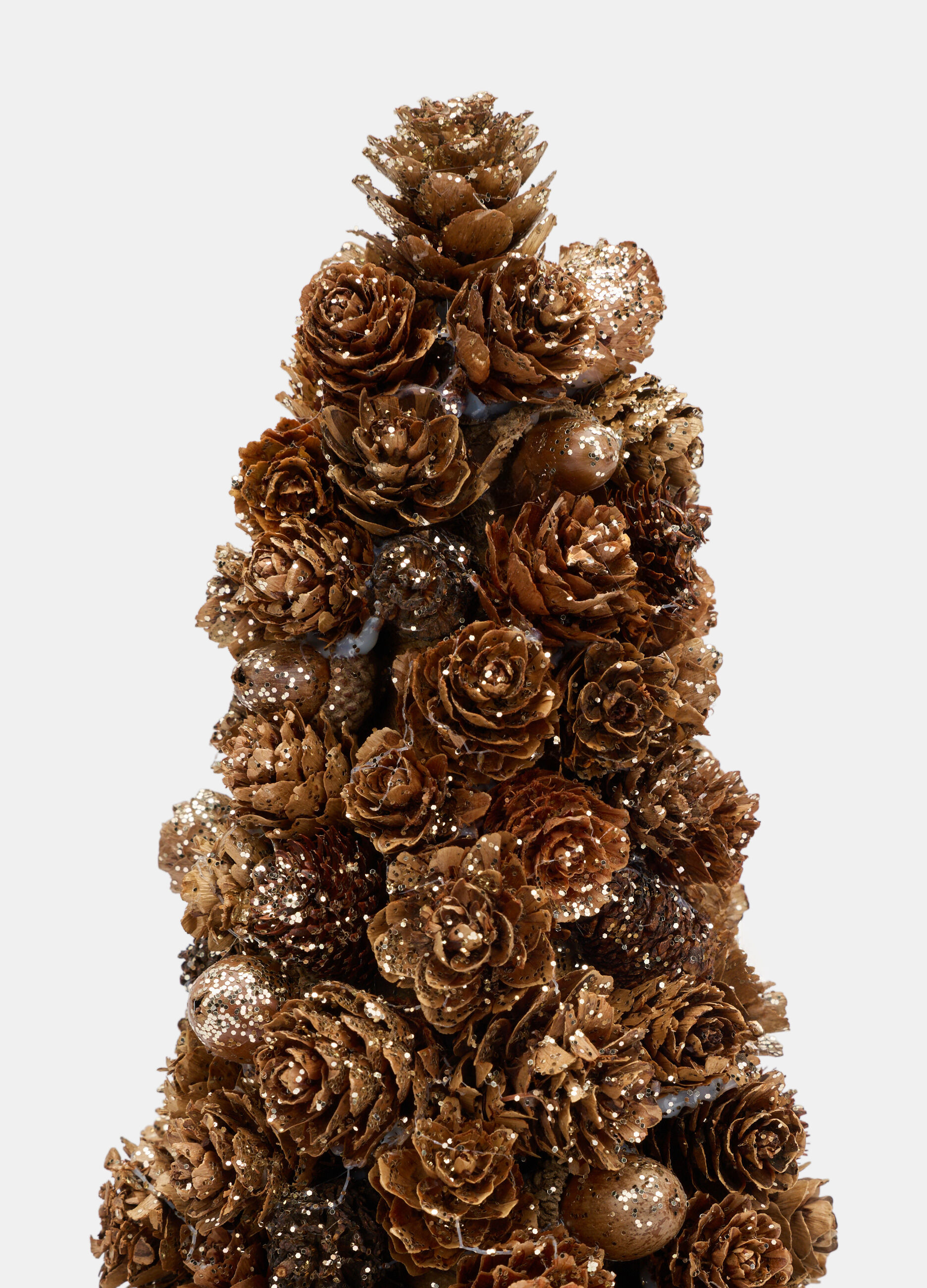 Alberello grande con pigne e ghiande_1