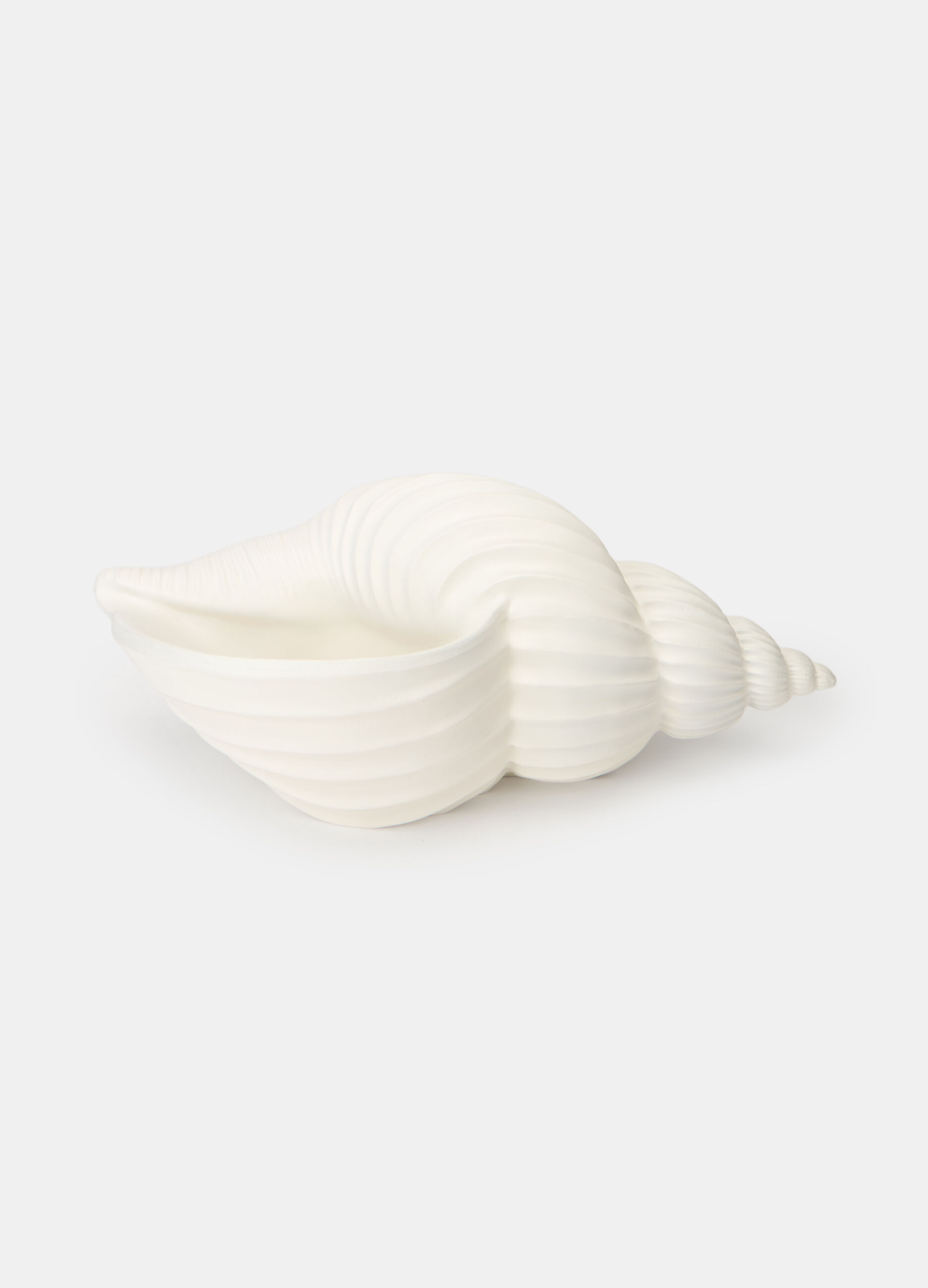 Conchiglia decorativa in resina_0