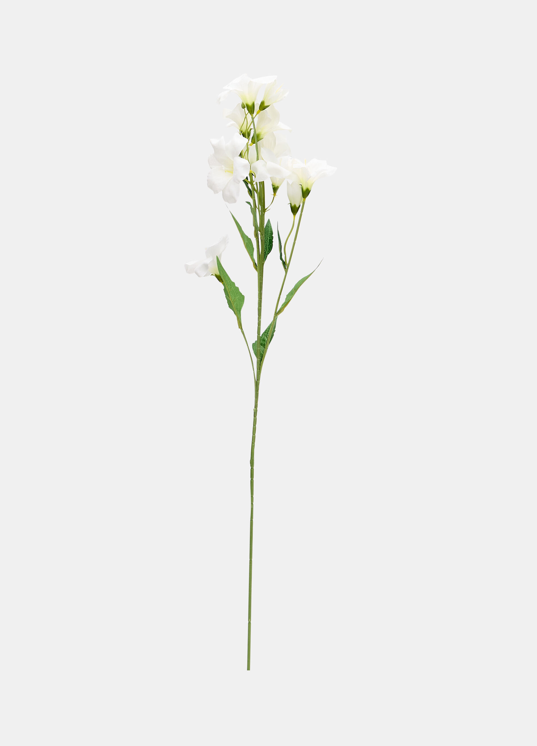Faux dipladenia on a branch_0