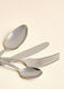 16-Piece cutlery set in steel_2