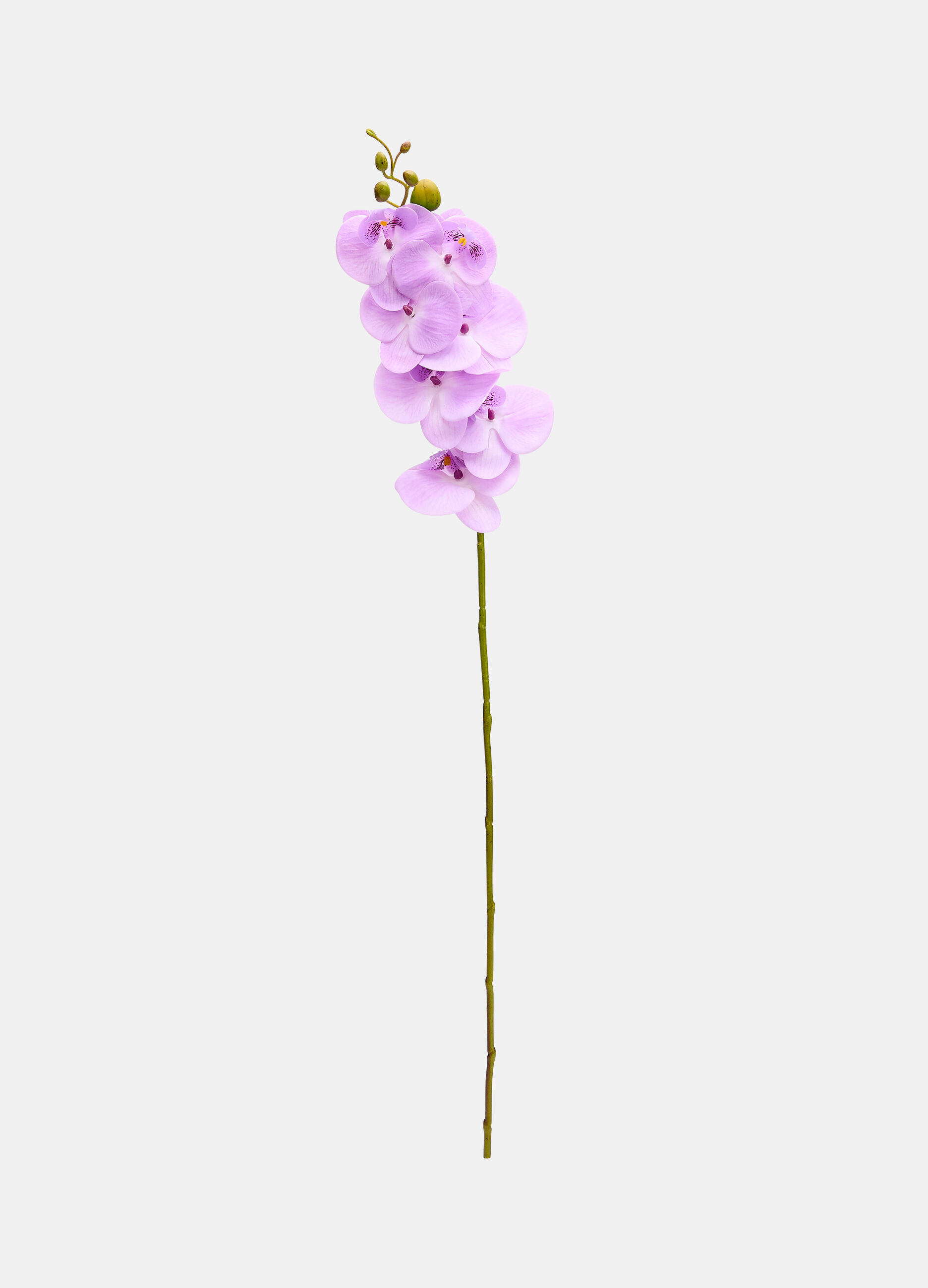 Faux orchid on a stem_0