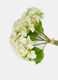 Bouquet of false hydrangeas_1