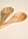 Set of 2 salad spoons in mango wood_1