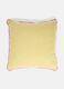 Square padded cushion with contrasting trim_0