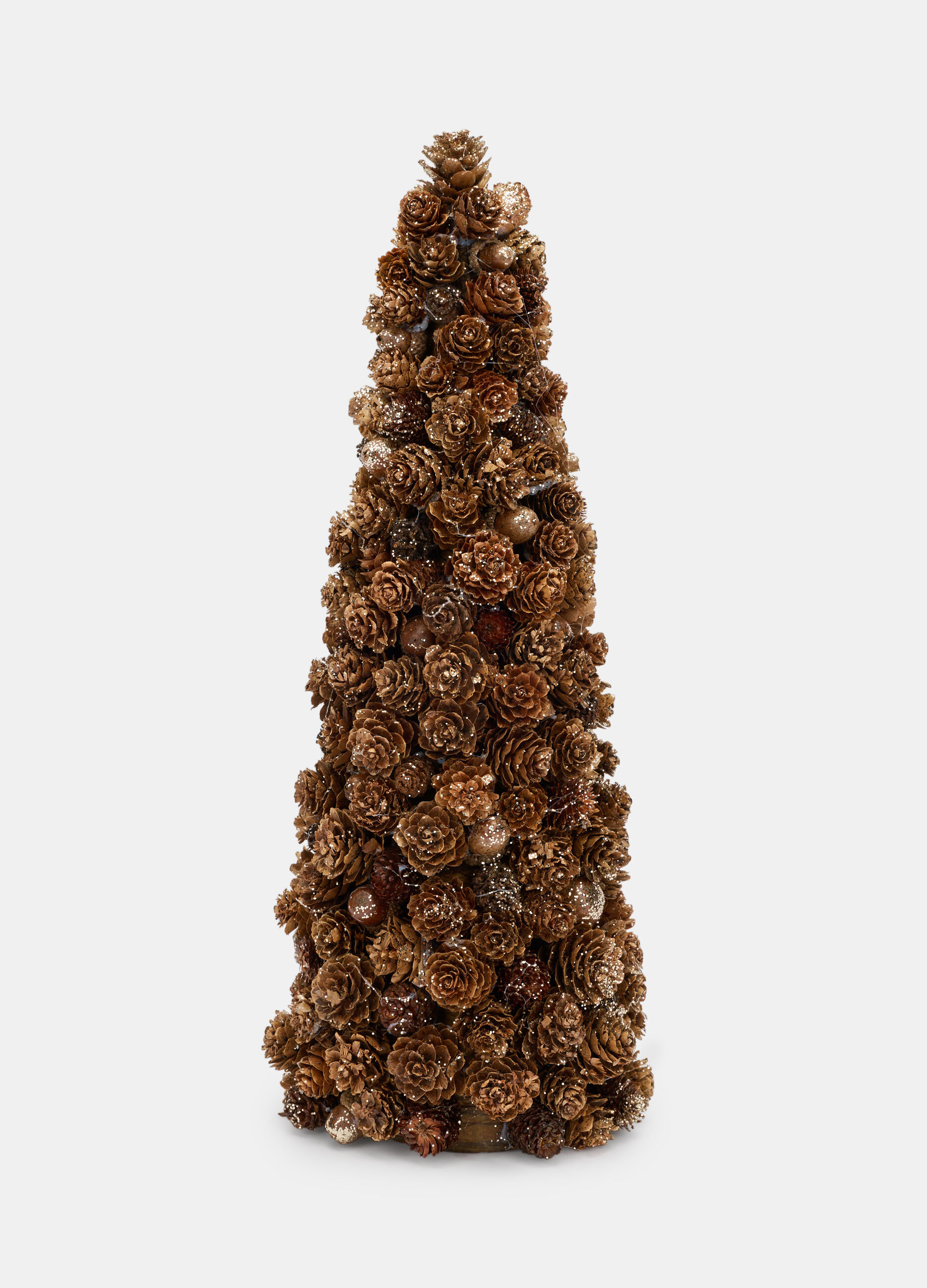 Alberello grande con pigne e ghiande_0