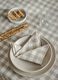 2-pack napkins in check cotton_0