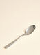 Steel teaspoon_2