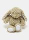 Plush Rabbit_0