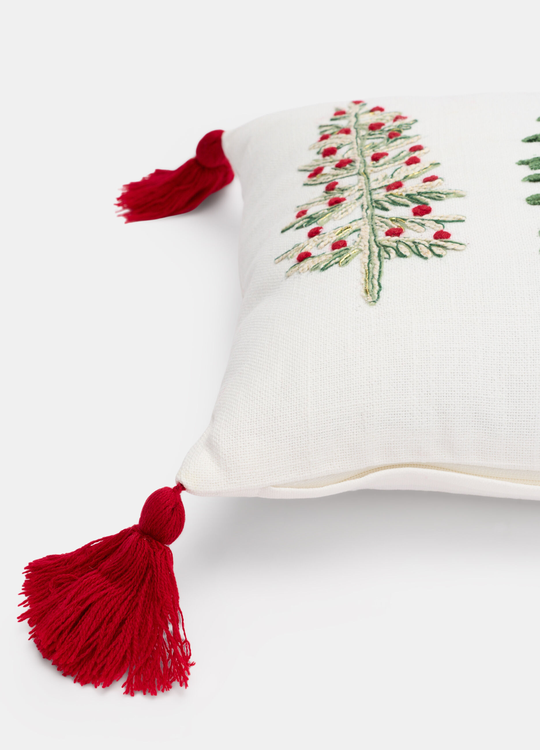 Cuscino rettangolare con ricamo e nappe_1