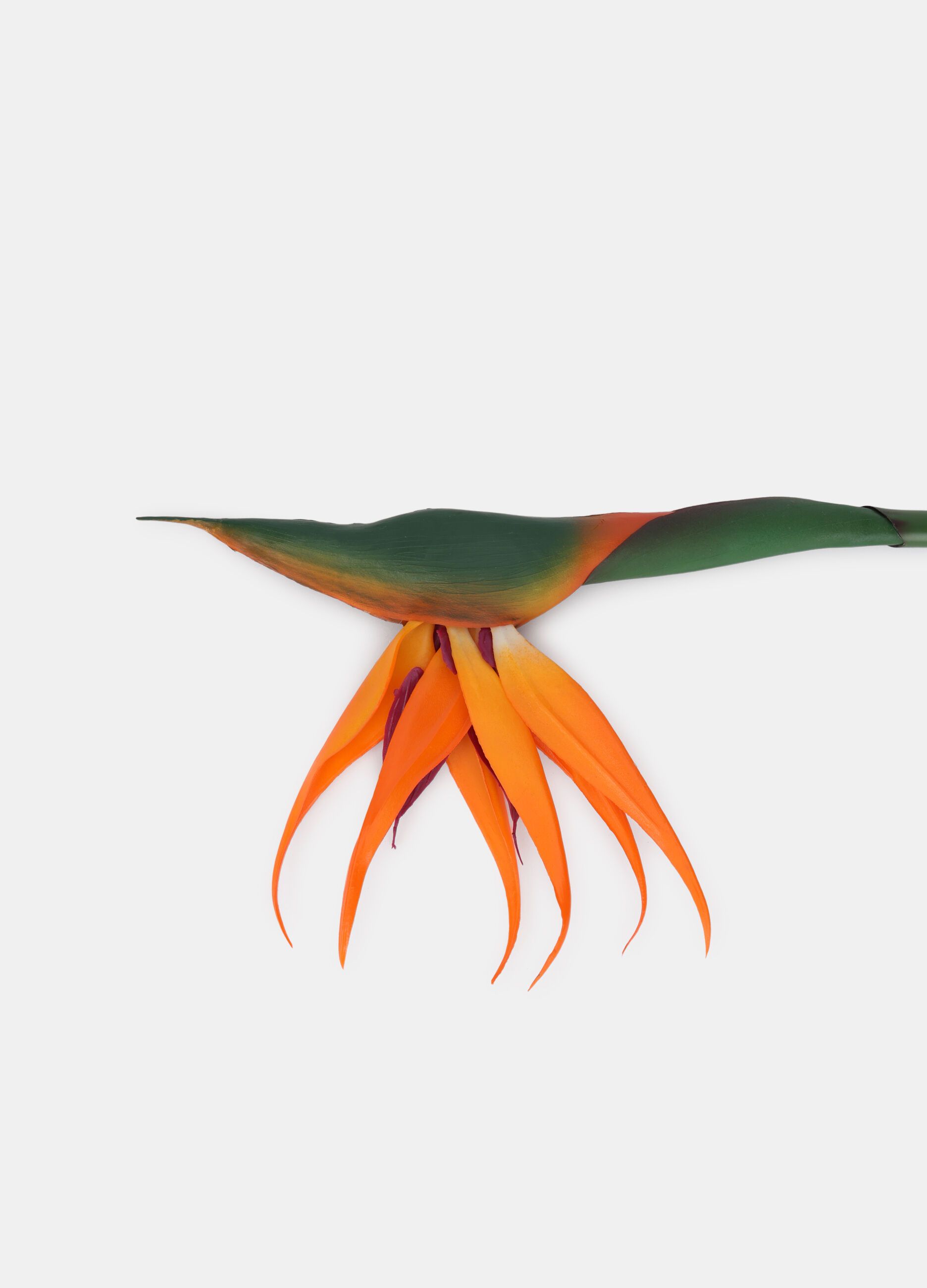 Foglia di strelitzia finta_1