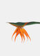 Foglia di strelitzia finta_1