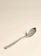 Steel tablespoon_1
