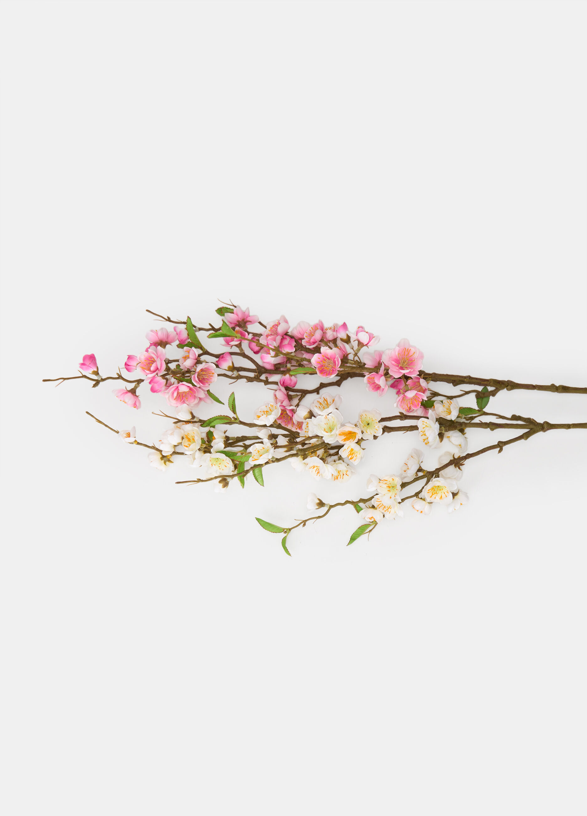 Ramo di ciliegio decorativi con fiori e foglie_1