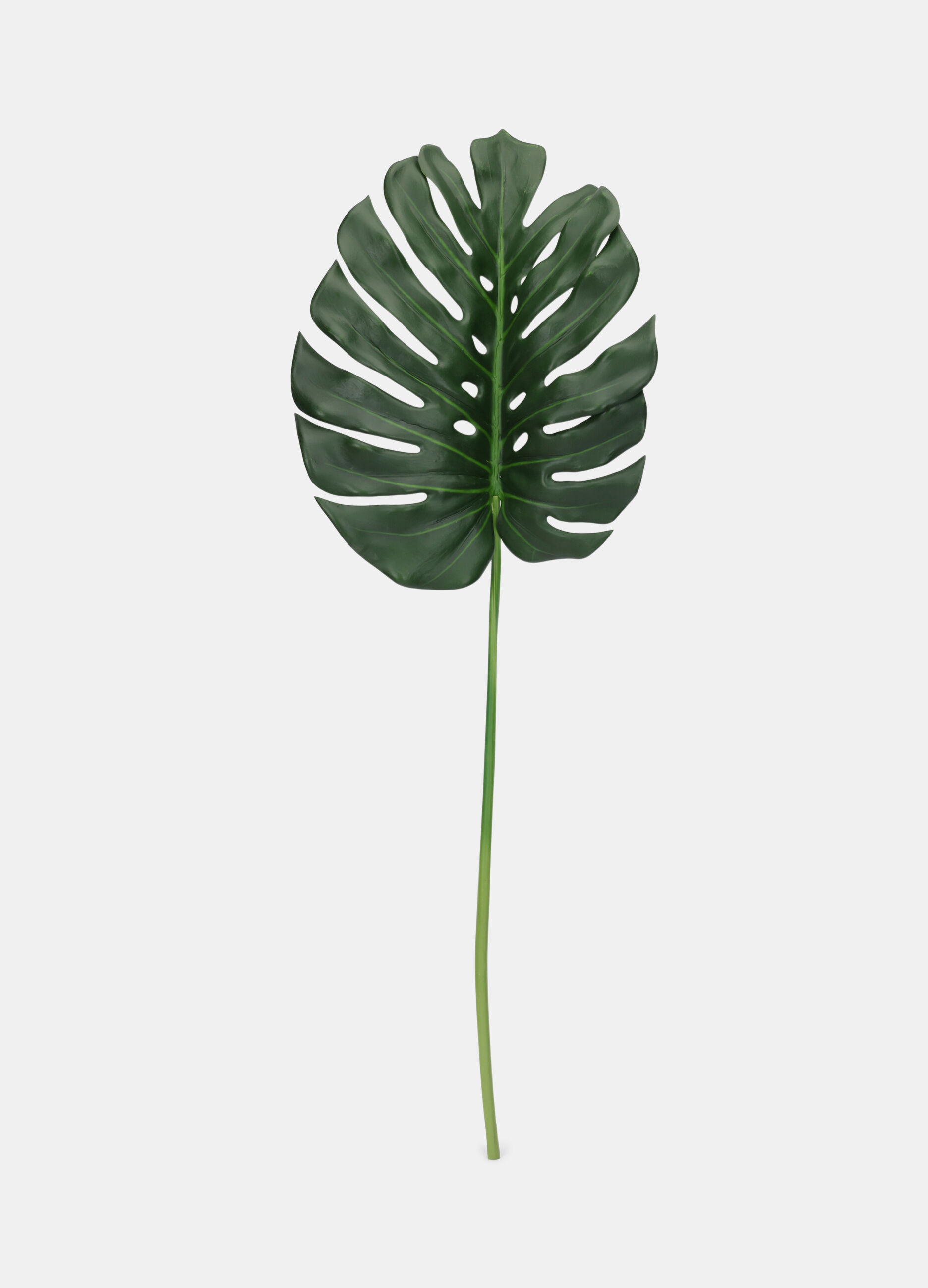 Foglia di monstera finta_0