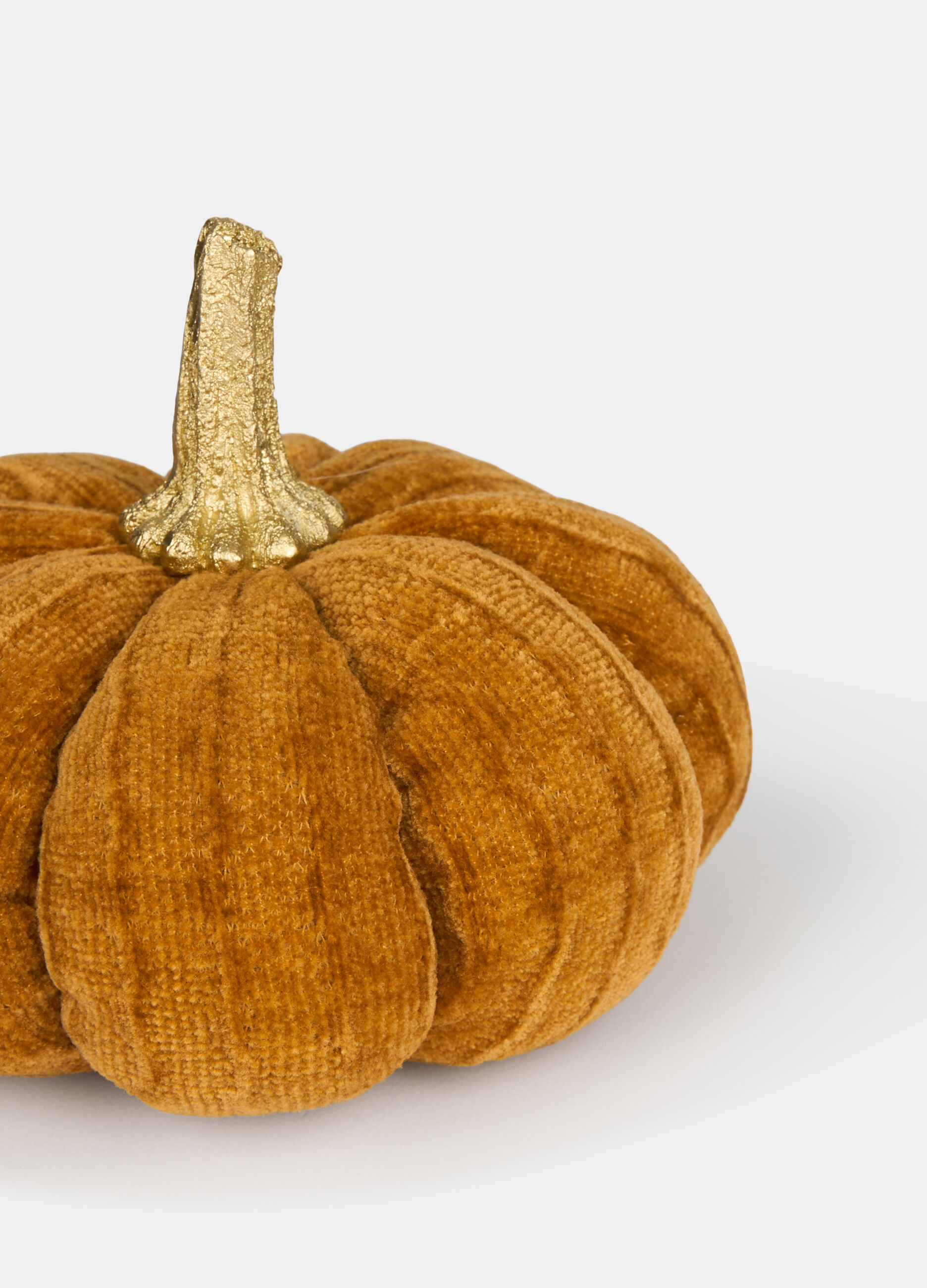 Zucca decorativa media con dettaglio oro_1