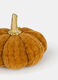 Zucca decorativa media con dettaglio oro_1
