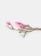 Magnolia decorativa con ramo_1