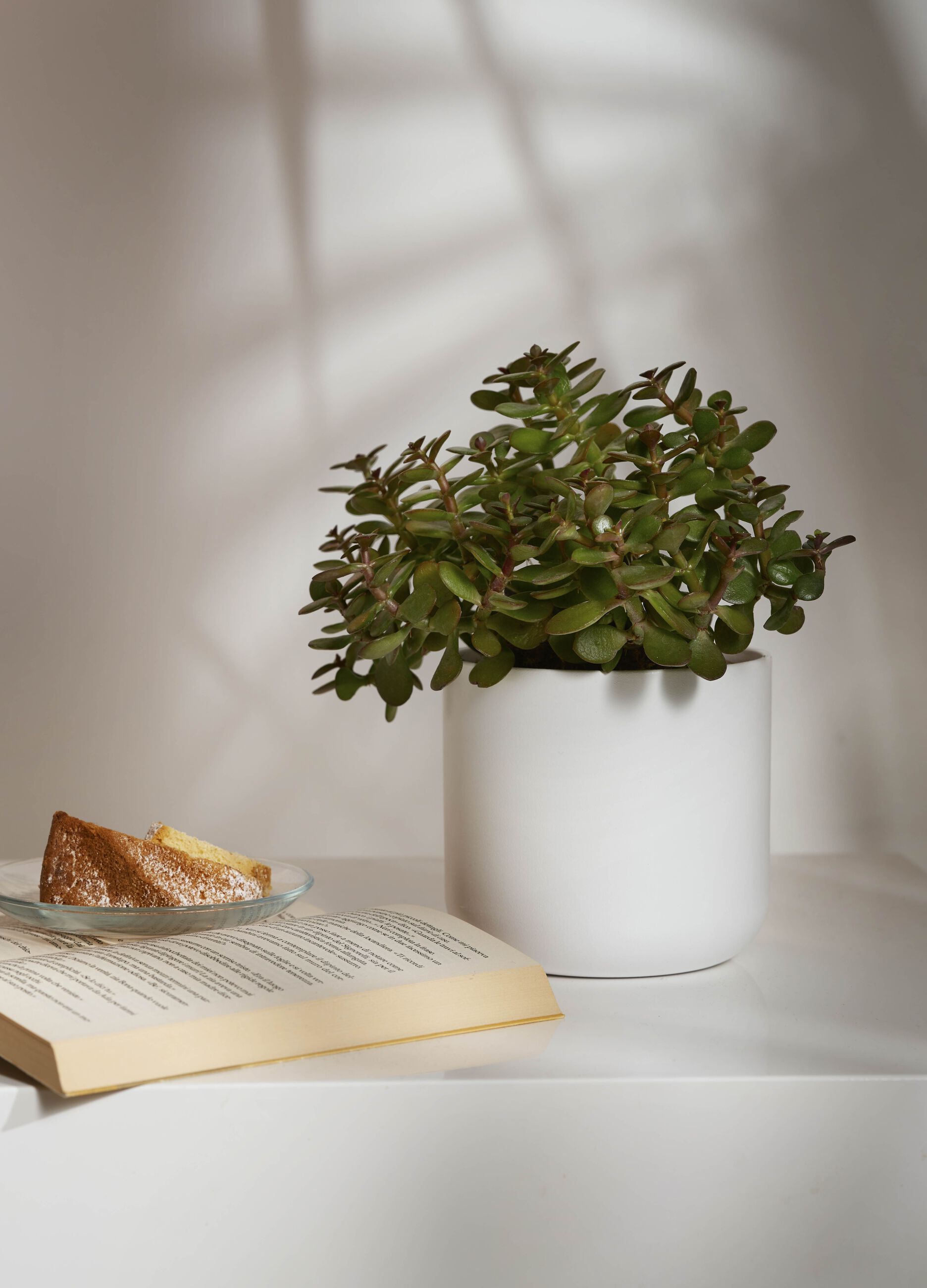 Vaso in ceramica_0