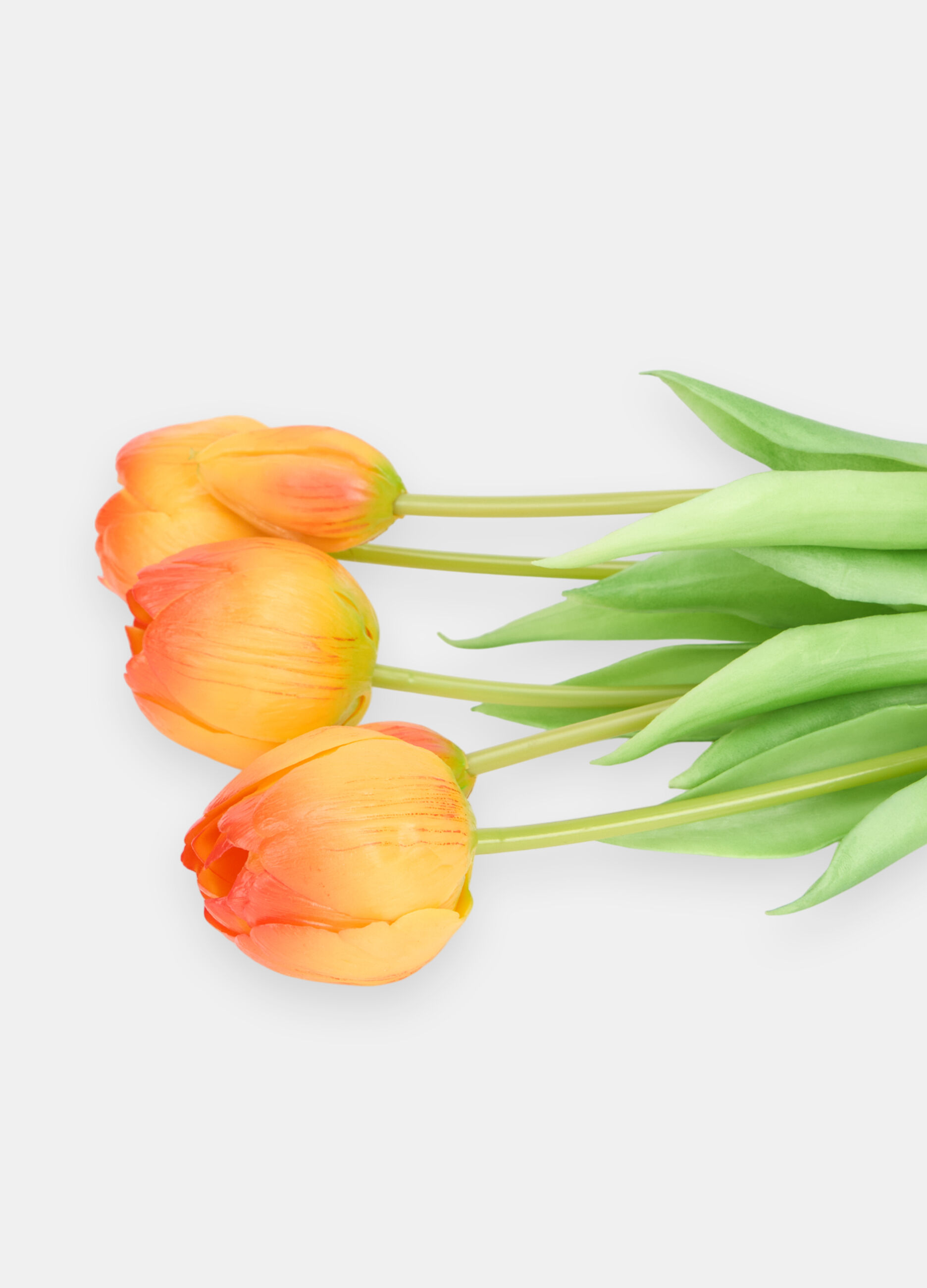 Bouquet of false tulips_1
