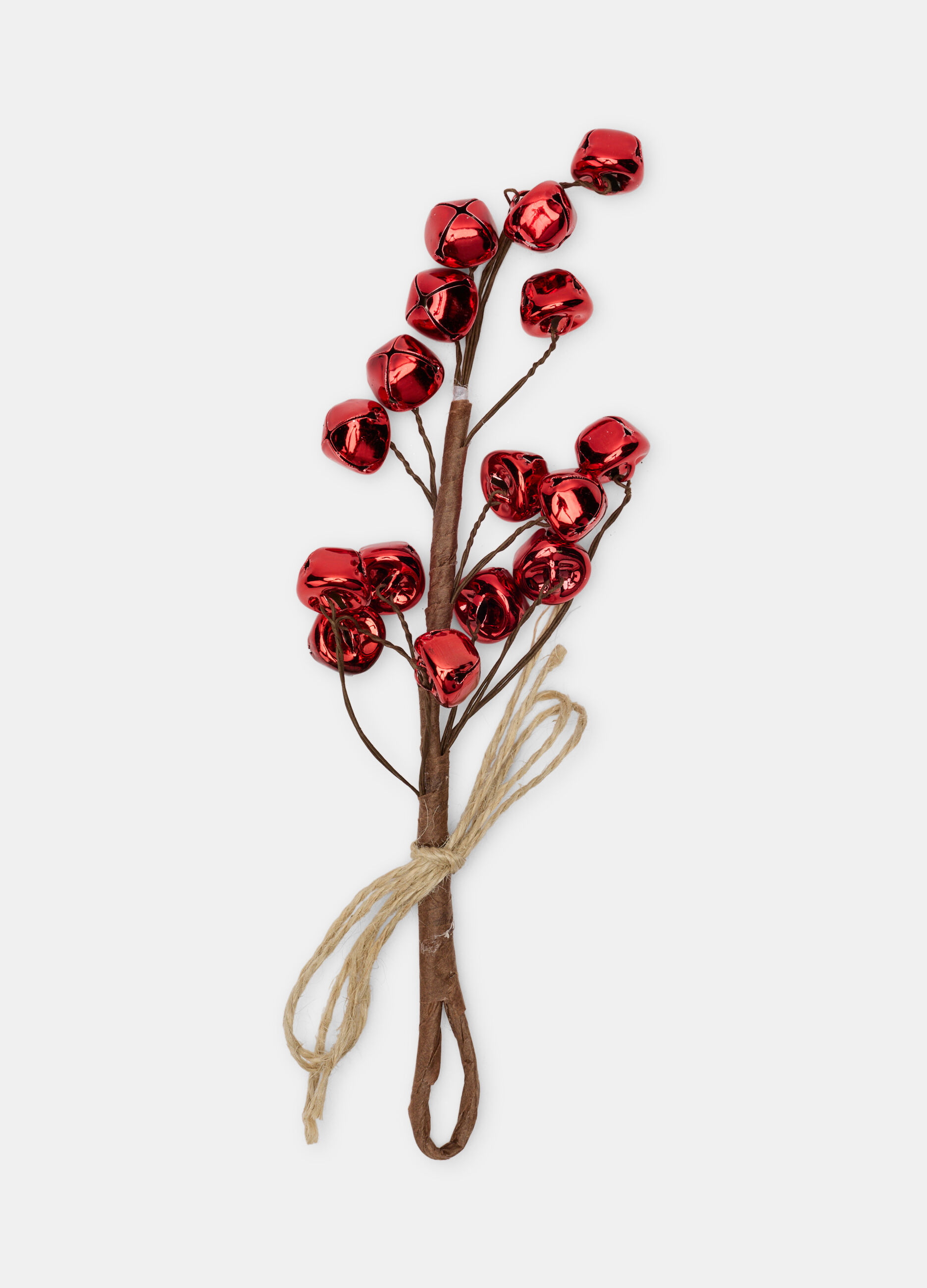 Ramoscello decorativo con sonagli_0