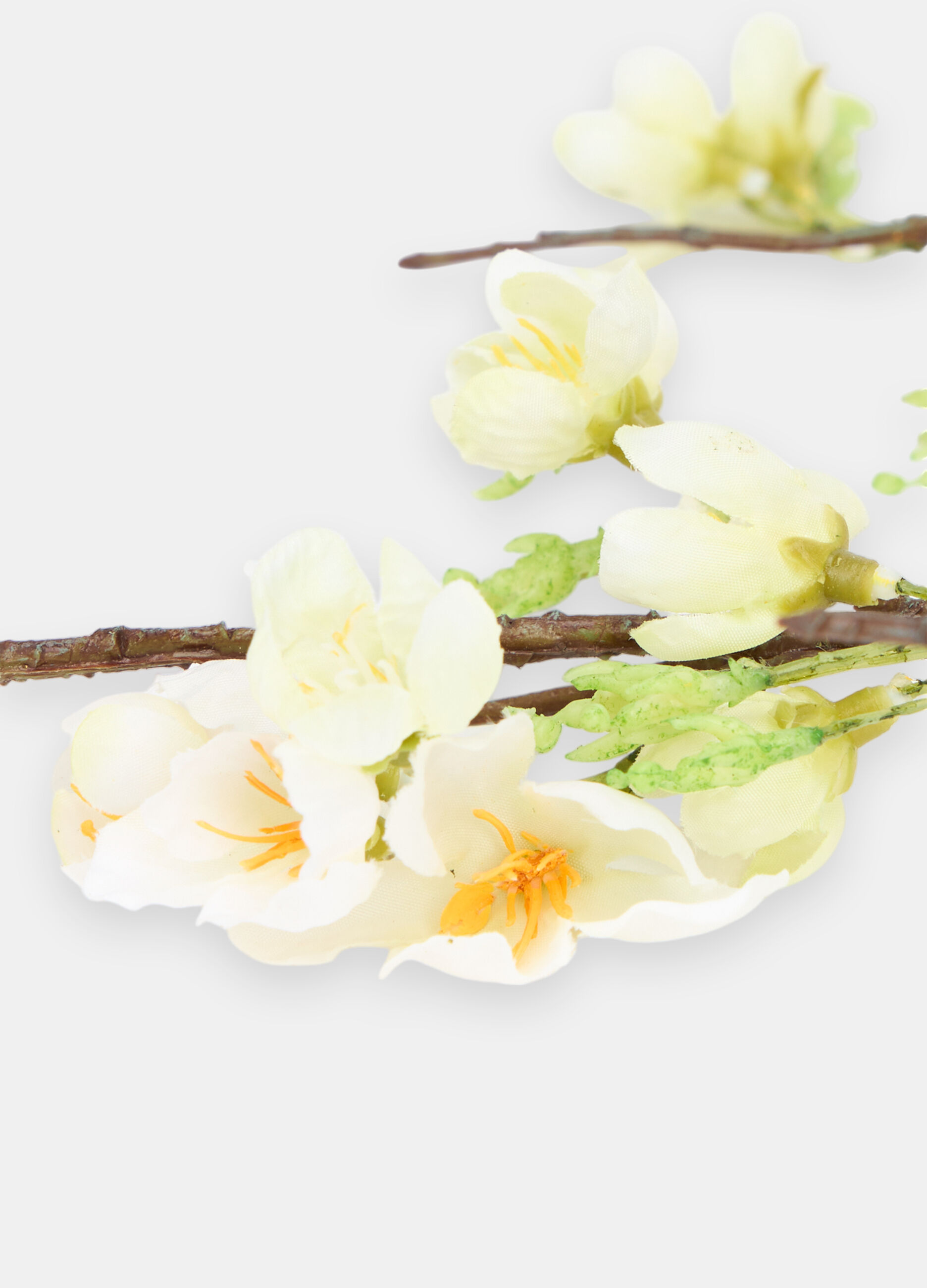 False peach branch_1