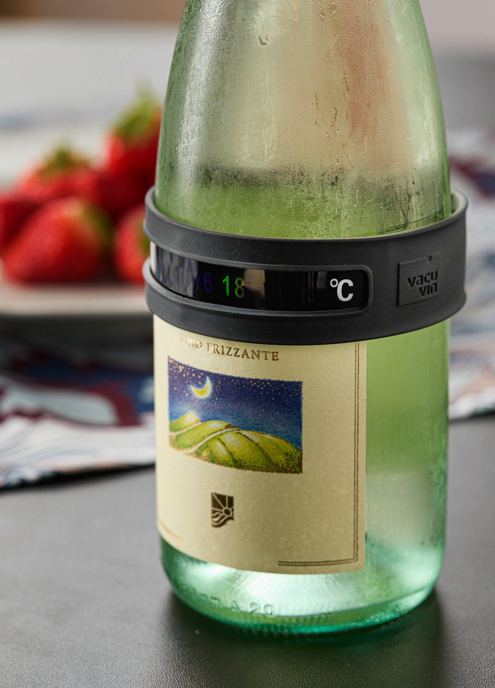 Termometro per vino_0