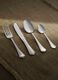 16-Piece cutlery set in a classic style_0