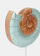 Decorazione a conchiglia in legno_1